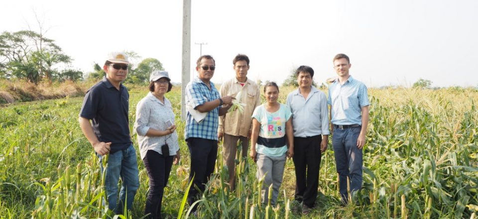 The visit to Lao maize farms